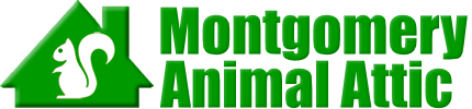 Montgomery Animal Attic